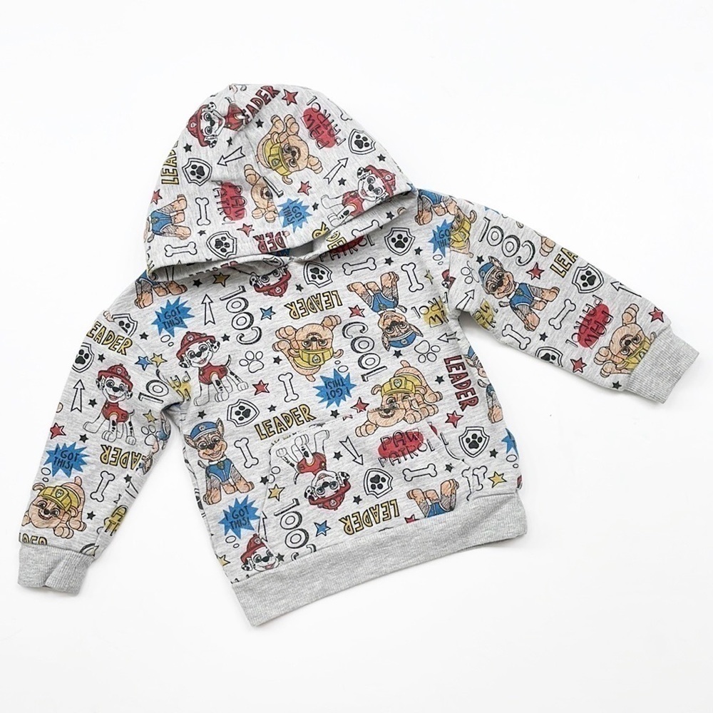 Paw Patrol toddler boys hoodie